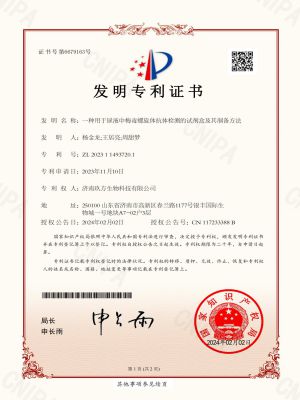 发明专利证书